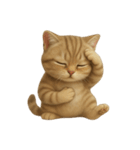 かわいいトラ猫 （NT）（個別スタンプ：2）