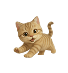 かわいいトラ猫 （NT）（個別スタンプ：7）