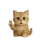 かわいいトラ猫 （NT）（個別スタンプ：22）