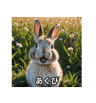 きらきらうさぎの感情スタンプ（個別スタンプ：4）