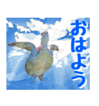 ウミガメ大好き 2。沖縄行きたい！（個別スタンプ：1）