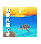 ウミガメ大好き 2。沖縄行きたい！（個別スタンプ：4）
