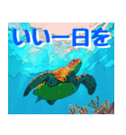 ウミガメ大好き 2。沖縄行きたい！（個別スタンプ：6）