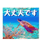 ウミガメ大好き 2。沖縄行きたい！（個別スタンプ：15）