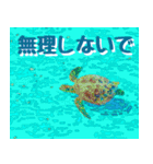 ウミガメ大好き 2。沖縄行きたい！（個別スタンプ：16）