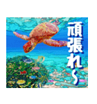 ウミガメ大好き 2。沖縄行きたい！（個別スタンプ：17）