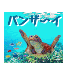 ウミガメ大好き 2。沖縄行きたい！（個別スタンプ：19）