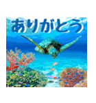 ウミガメ大好き 2。沖縄行きたい！（個別スタンプ：21）