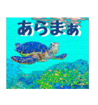 ウミガメ大好き 2。沖縄行きたい！（個別スタンプ：34）