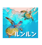 ウミガメ大好き 2。沖縄行きたい！（個別スタンプ：38）