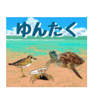 ウミガメ大好き 2。沖縄行きたい！（個別スタンプ：39）