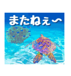 ウミガメ大好き 2。沖縄行きたい！（個別スタンプ：40）