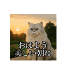 ちょっと上からな猫（個別スタンプ：1）