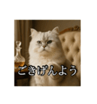 ちょっと上からな猫（個別スタンプ：2）