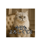 ちょっと上からな猫（個別スタンプ：3）