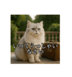 ちょっと上からな猫（個別スタンプ：4）
