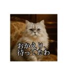 ちょっと上からな猫（個別スタンプ：5）