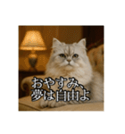 ちょっと上からな猫（個別スタンプ：7）