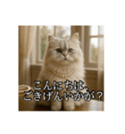 ちょっと上からな猫（個別スタンプ：9）