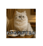 ちょっと上からな猫（個別スタンプ：11）