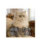 ちょっと上からな猫（個別スタンプ：13）