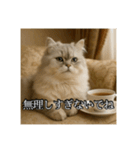 ちょっと上からな猫（個別スタンプ：14）