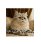 ちょっと上からな猫（個別スタンプ：15）