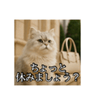 ちょっと上からな猫（個別スタンプ：16）