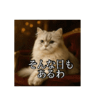 ちょっと上からな猫（個別スタンプ：17）