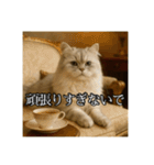 ちょっと上からな猫（個別スタンプ：19）