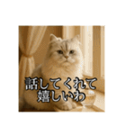 ちょっと上からな猫（個別スタンプ：20）
