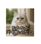 ちょっと上からな猫（個別スタンプ：21）