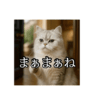 ちょっと上からな猫（個別スタンプ：24）