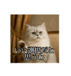 ちょっと上からな猫（個別スタンプ：25）