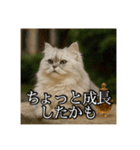 ちょっと上からな猫（個別スタンプ：28）
