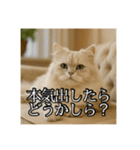ちょっと上からな猫（個別スタンプ：29）