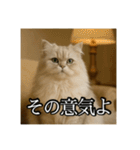 ちょっと上からな猫（個別スタンプ：30）