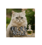 ちょっと上からな猫（個別スタンプ：34）