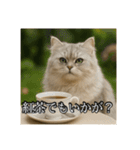 ちょっと上からな猫（個別スタンプ：35）