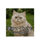 ちょっと上からな猫（個別スタンプ：36）
