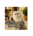 ちょっと上からな猫（個別スタンプ：37）