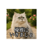 ちょっと上からな猫（個別スタンプ：38）