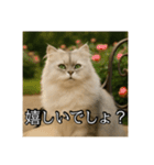 ちょっと上からな猫（個別スタンプ：40）