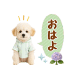 大人可愛いトイプーで梅雨の気づかい敬語（個別スタンプ：2）