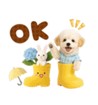 大人可愛いトイプーで梅雨の気づかい敬語（個別スタンプ：4）