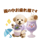 大人可愛いトイプーで梅雨の気づかい敬語（個別スタンプ：7）