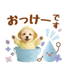 大人可愛いトイプーで梅雨の気づかい敬語（個別スタンプ：9）