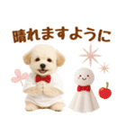 大人可愛いトイプーで梅雨の気づかい敬語（個別スタンプ：15）