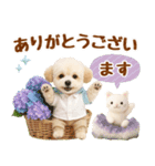 大人可愛いトイプーで梅雨の気づかい敬語（個別スタンプ：18）