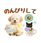 大人可愛いトイプーで梅雨の気づかい敬語（個別スタンプ：24）